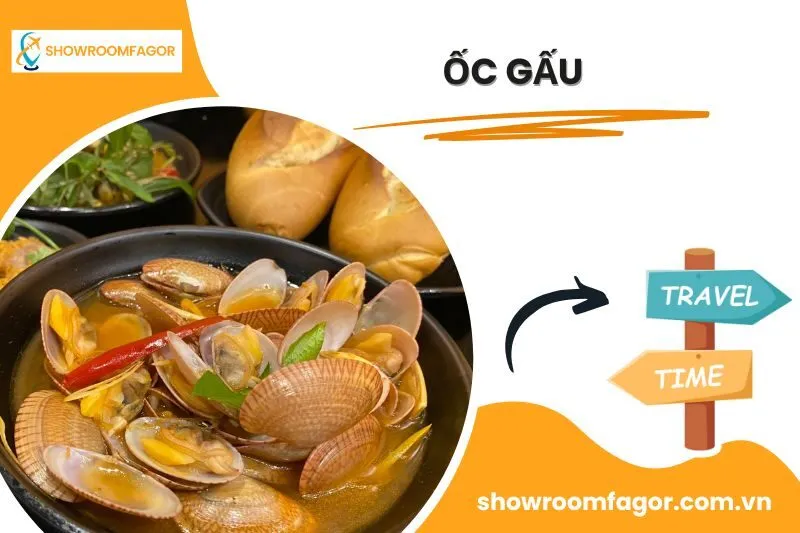 Ốc Gấu