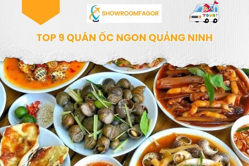 Top 9 Quán Ốc Quảng Ninh