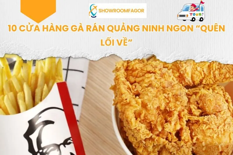 10 Cửa Hàng Gà Rán Quảng Ninh Ngon “Quên Lối Về”