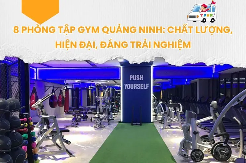 8 Phòng Tập Gym Quảng Ninh: Chất Lượng, Hiện Đại, Đáng Trải Nghiệm