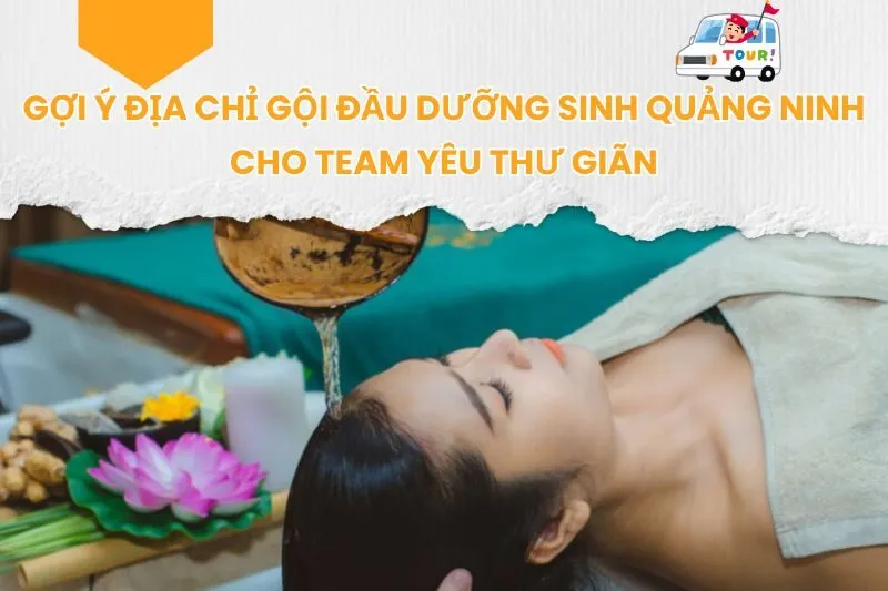 Địa Chỉ Gội Đầu Dưỡng Sinh Quảng Ninh Cho Team Yêu Thư Giãn