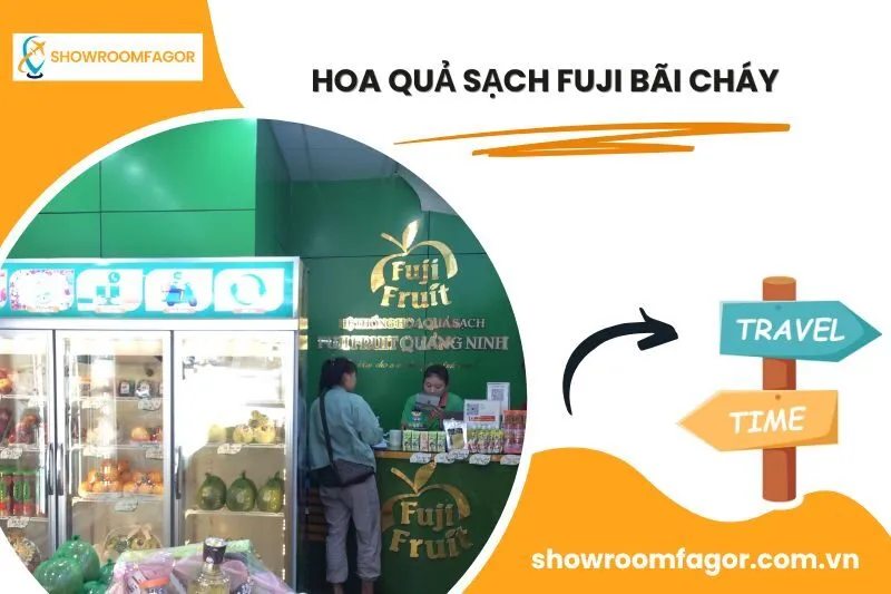 Hoa Quả Sạch Fuji Bãi Cháy