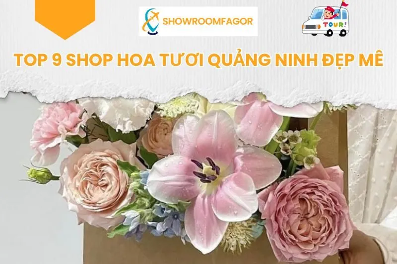 Top 9 Shop Hoa Tươi Quảng Ninh Đẹp Mê