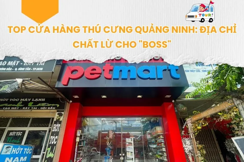 Top Cửa Hàng Thú Cưng Quảng Ninh: Địa Chỉ Chất Lừ Cho "Boss"