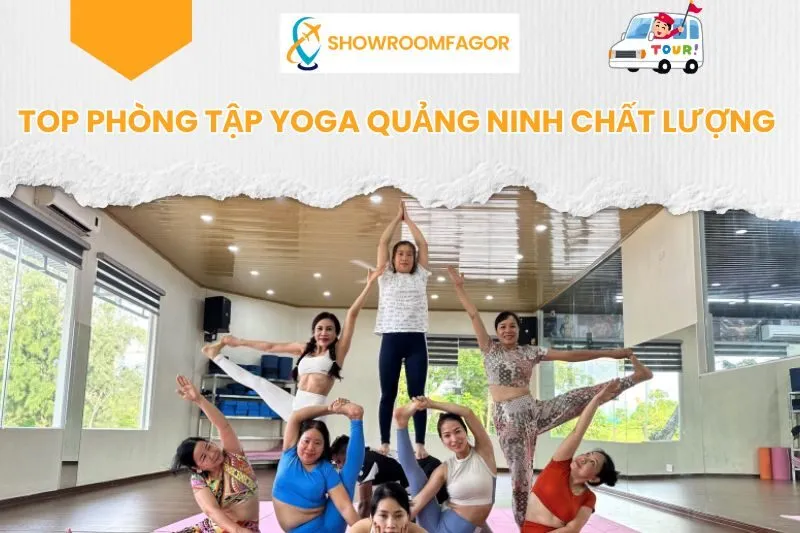 Top Phòng Tập Yoga Quảng Ninh Chất Lượng Nhất
