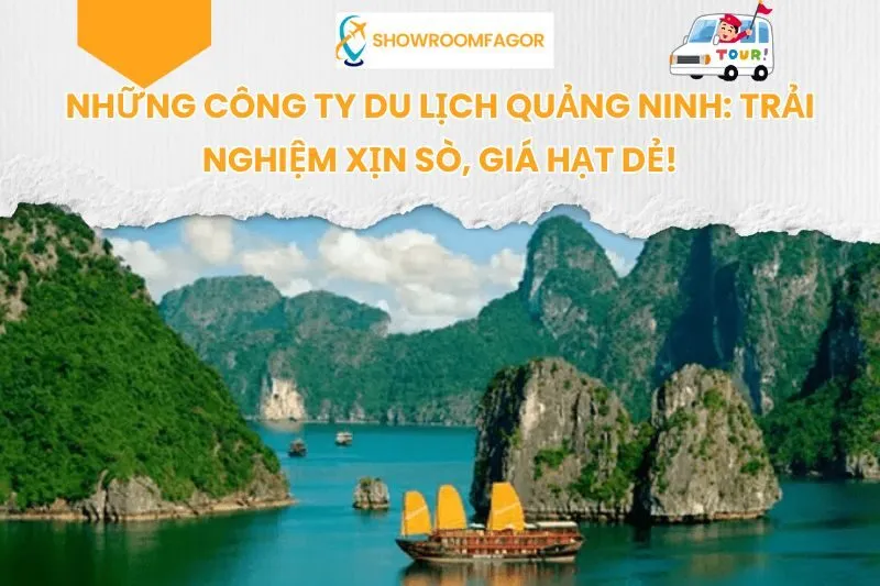 9 Công Ty Du Lịch Quảng Ninh: Trải Nghiệm Xịn Sò, Giá Hạt Dẻ!