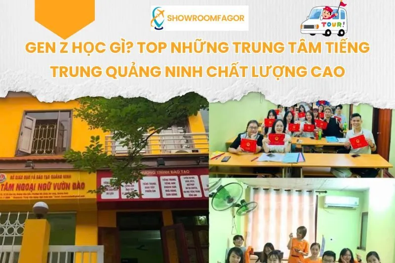 Gen Z Học Gì? Top 6 Trung Tâm Tiếng Trung Quảng Ninh Chất Lượng Cao