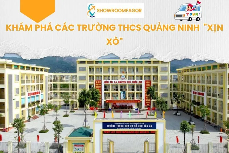 Khám Phá 7 Trường THCS Quảng Ninh "Xịn Xò"