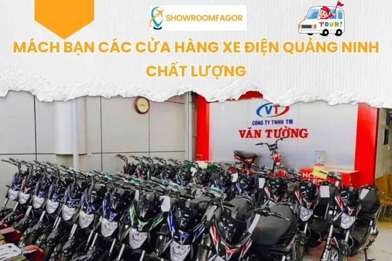 Mách Bạn 5 Cửa Hàng Xe Điện Quảng Ninh Chất Lượng