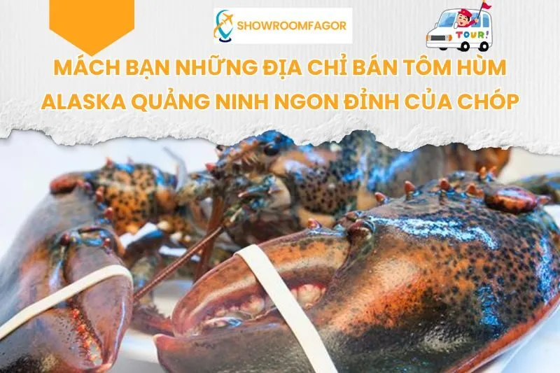 Mách Bạn 6 Địa Chỉ Bán Tôm Hùm Alaska Quảng Ninh Ngon Đỉnh Của Chóp