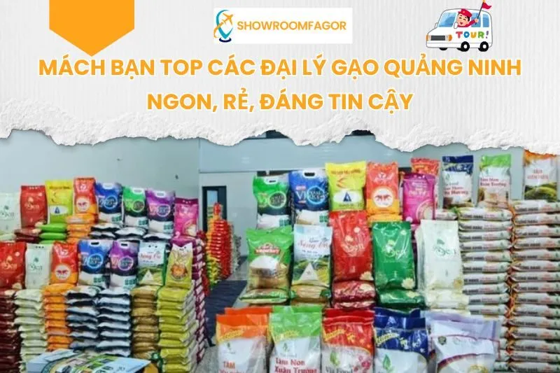 Mách Bạn Top 5 Đại Lý Gạo Quảng Ninh Ngon, Rẻ, Đáng Tin Cậy
