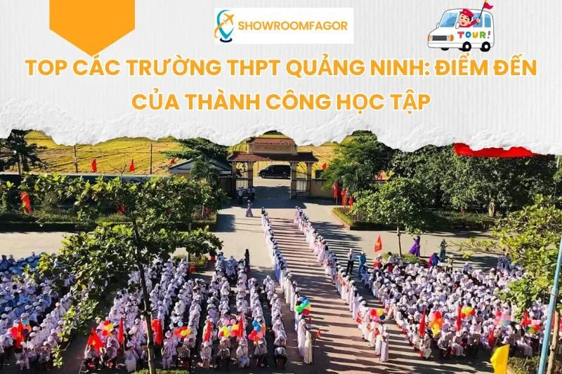 Top 6 Trường THPT Quảng Ninh: Điểm Đến Của Thành Công Học Tập