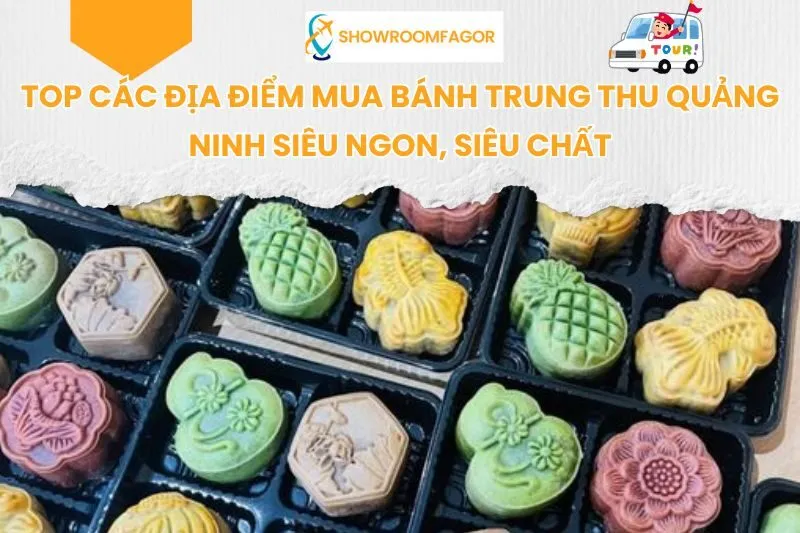 Top 8 Địa Điểm Mua Bánh Trung Thu Quảng Ninh Siêu Ngon, Siêu Chất