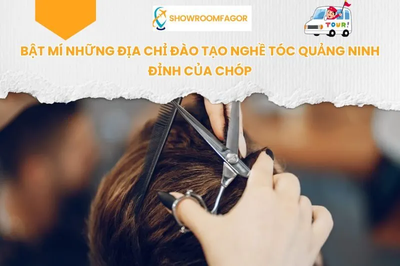 Bật Mí Những Địa Chỉ Đào Tạo Nghề Tóc Quảng Ninh Đỉnh Của Chóp