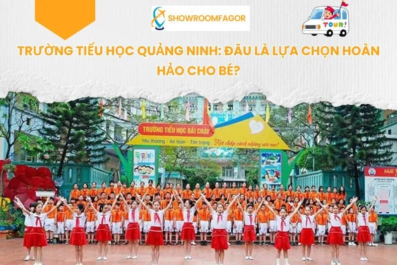 Trường Tiểu Học Quảng Ninh: Đâu Là Lựa Chọn Hoàn Hảo Cho Bé?
