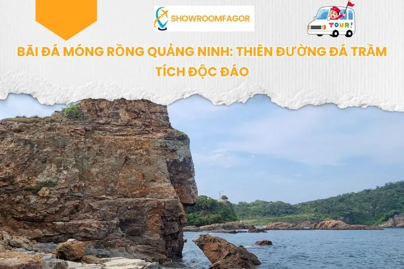 Bãi Đá Móng Rồng Quảng Ninh: Thiên Đường Đá Trầm Tích Độc Đáo
