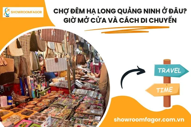 Chợ Đêm Hạ Long Quảng Ninh Ở Đâu? Giờ Mở Cửa Và Cách Di Chuyển