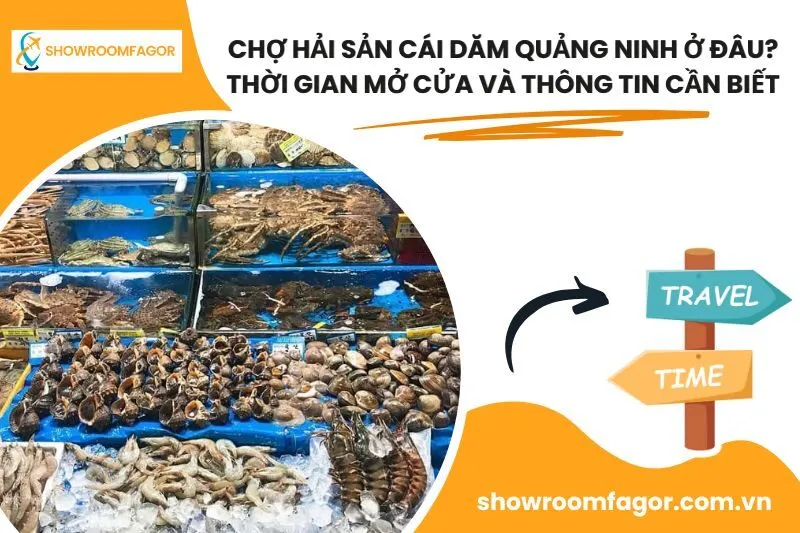 Chợ Hải Sản Cái Dăm Quảng Ninh Ở Đâu? Thời Gian Mở Cửa Và Thông Tin Cần Biết
