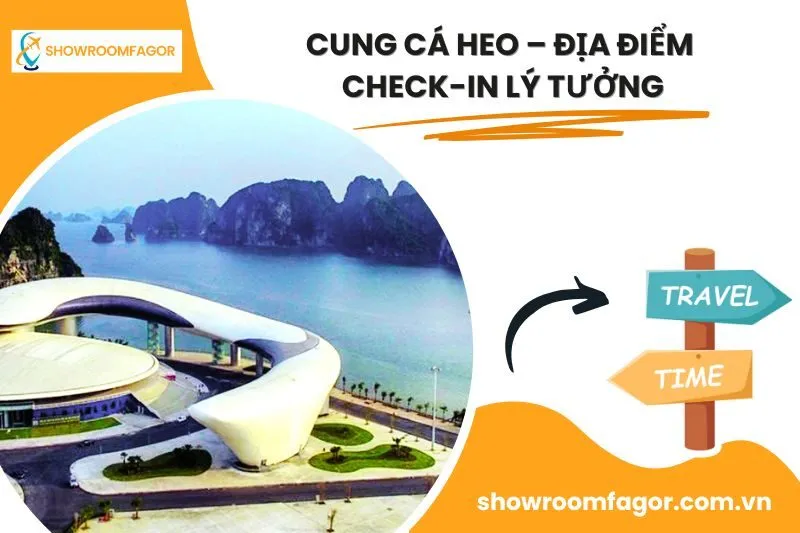 Cung Cá Heo – Địa Điểm Check-in Lý Tưởng
