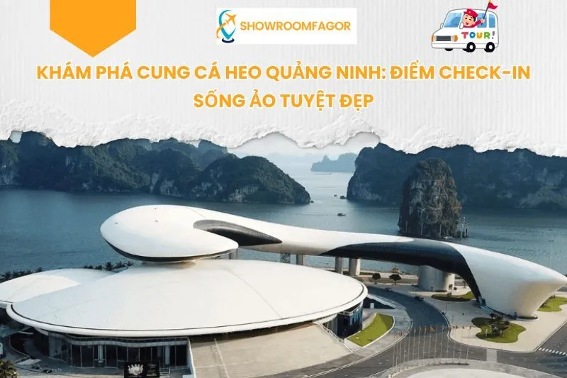 Khám Phá Cung Cá Heo Quảng Ninh: Điểm Check-in Sống Ảo Tuyệt Đẹp